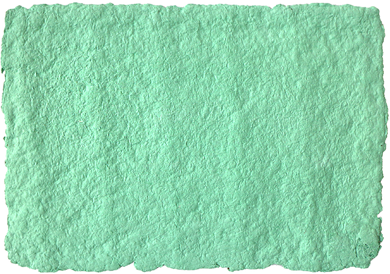 Pasta seca de reciclado de una toalla verde para preparar la pulpa papelera 