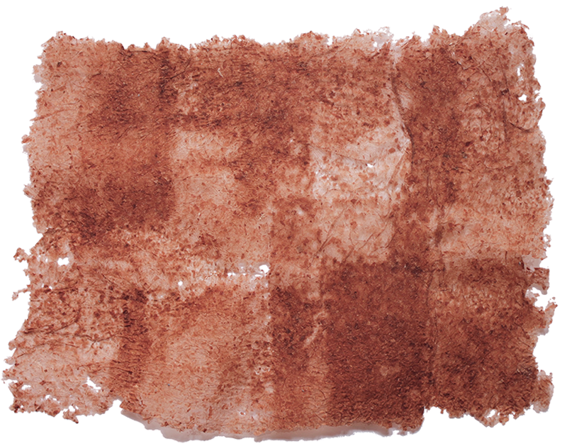 Collage de papeles de cebolla