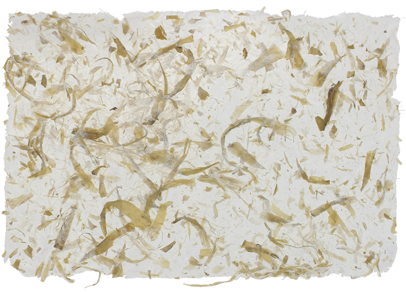 Papel de piña y algodón