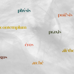 La sabiduría del papel - todos los miércoles de febrero y marzo de 19:00 a 20:30