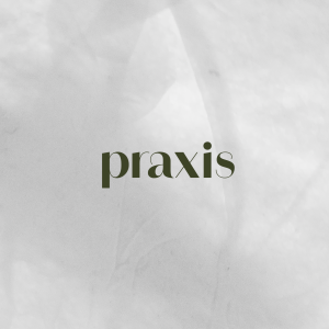 LA SABIDURÍA DEL PAPEL. PRAXIS - MIÉRCOLES 25 DE FEBRERO -  DE 19:00 A 20:30